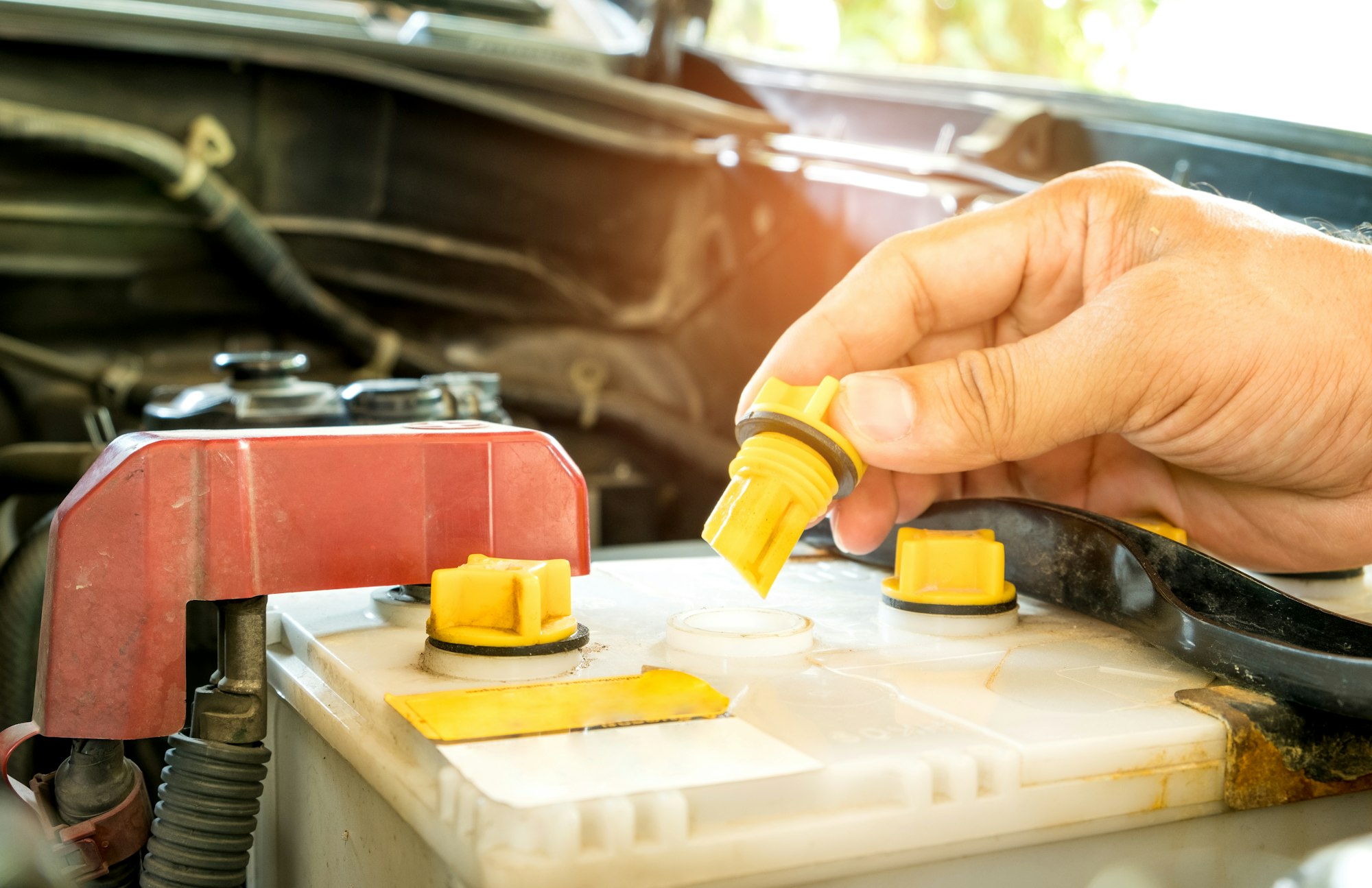 Daily car check,Check out the distilled car battery.